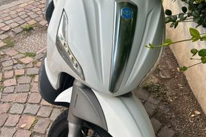Scoter