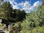 Immagine 26