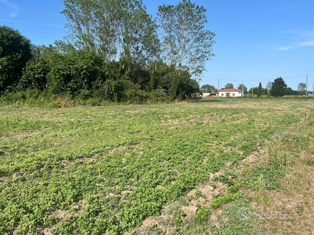 Terreno di 8500 m² a Codigoro - Vista 4