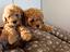 Immagine 4