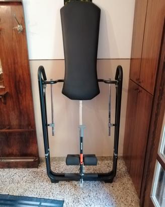 PANCA AD INVERSIONE GRAVITAZIONALE  PROFESSIONALE)