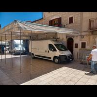 ducato daily