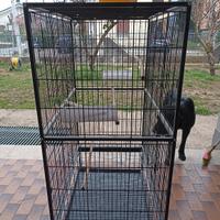 voliera x uccelli 79x51x133