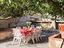 Immagine 19