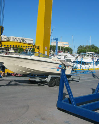 Motoscafo 120 CV 5.30 m con carrello