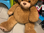 Immagine 3