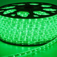 Striscia LED Verde 100m 220V + 5 Spine