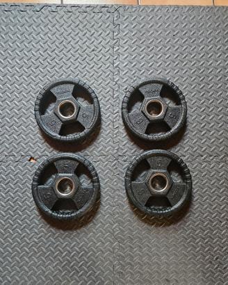 2 Dischi Gommati 50mm  + 4 dischi  Toorx