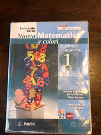 Nuova matematica a colori 1
