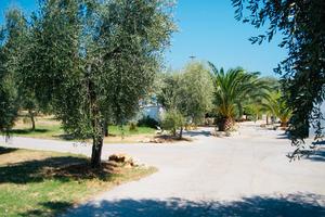 Diverse soluzioni fino a 6 posti letto