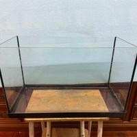 ACQUARIO