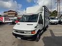 iveco-daily-35c13-trasporto-animali-vivi-04