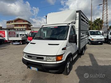 Iveco daily 35c13 trasporto animali vivi 04