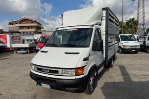Iveco daily 35c13 trasporto animali vivi 04