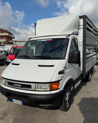 Iveco daily 35c13 trasporto animali vivi 04