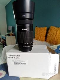 Canon 55-250 