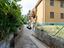 Immagine 24