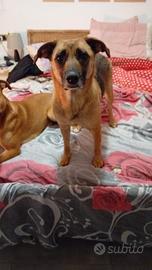 Annuncio per tutta Italia