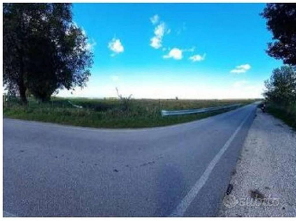Immobile in asta di 29104 m² a Roverchiara - Vista 3