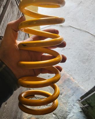 molla ohlins 06452-06