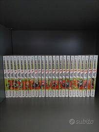 Dragon ball evergreen edition
