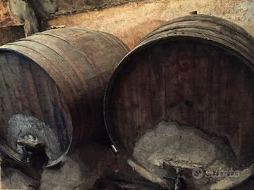 Botti in legno rovere/castagno per vino