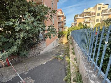 Pineta sacchetti - laboratorio