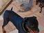 Immagine 4