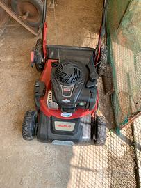 Rasaerba semi professionale