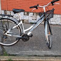 Bici Carnielli donna 28