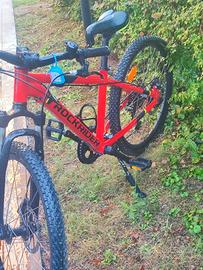 Bicicletta bambino 24"