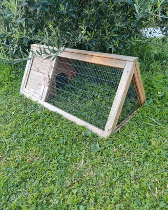 Tartarugario/casetta per tartarughe di terra