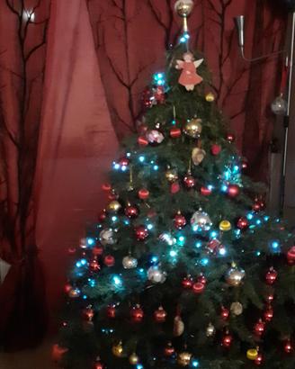 Albero 🌳 di Natale 