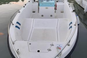 Barca 40 cavalli buono stato con carrello