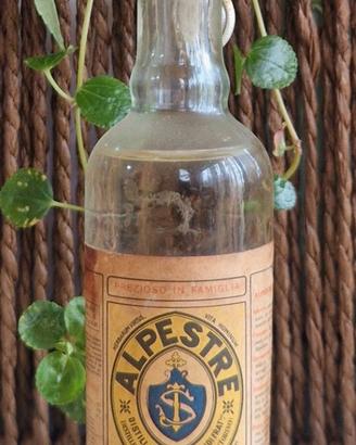 Mignon Alpestre Carmagnola Anni 50  Sigillo Stella