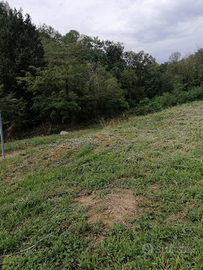Terreno a Romagnano Sesia vino Nebbiolo