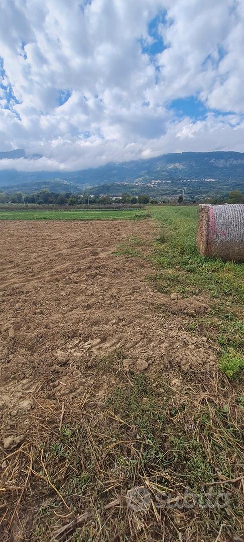 Terreno agricolo Civita di Bagno - Altro