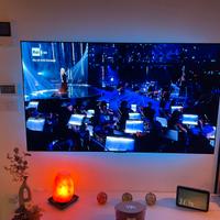 TV SAMSUNG 50”