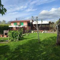 Rif.AG100PT| terreno agricolo follonica
