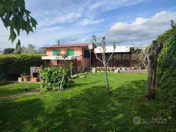 Rif.AG100PT| terreno agricolo follonica