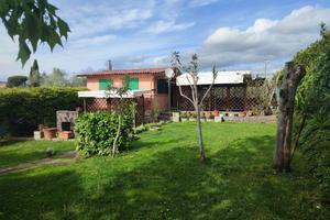 Rif.AG100PT| terreno agricolo follonica