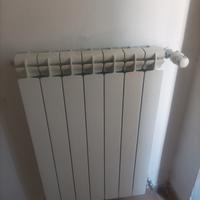 radiatori 50 euro cadauno 