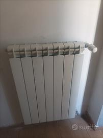 radiatori 50 euro cadauno 