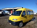 fiat-ducato-scuolabus-18-posti-km-101000