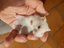 Immagine 6