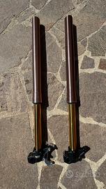 Forcelle Fastace + distanziale formula pit bike