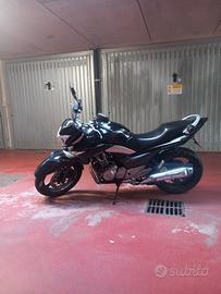 Suzuki Inazuma 250cc
