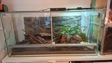 teca terrario 