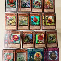 Lotto Yu-Gi-Oh Naturia (Naturia)