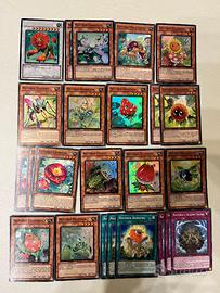 Lotto Yu-Gi-Oh Naturia (Naturia)